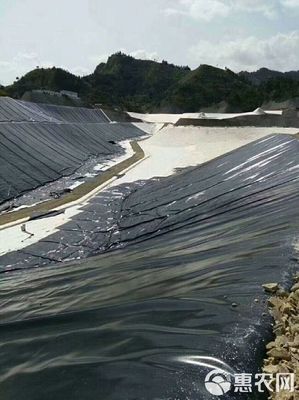 防渗膜批发指南 土工膜与复合土工膜价格优势分析