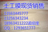 南阳优质PE土工膜现货供应，货到验货后付款，工程无忧新选择