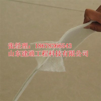 山东建通两布一膜复合土工膜 汕头地区价格、厂家与产品解析